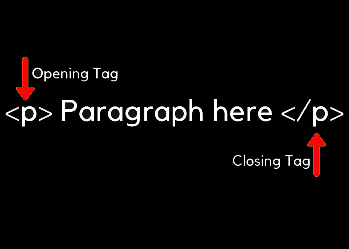 HTML Paragraphs -webprograming - html - -